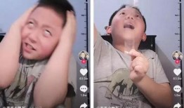 甘肃直播吃瓜事件,网络直播中的争议与反思