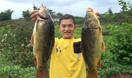 刘大瓜吃,揭秘娱乐圈的美食诱惑与明星们的饮食生活