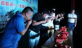 吃瓜听什么音乐,解锁夏日休闲新姿势