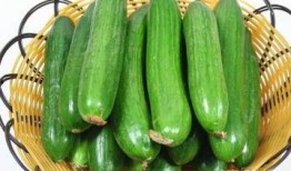 熬夜吃的瓜,揭秘深夜美食背后的秘密