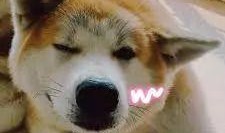 静静吃瓜ing,揭秘娱乐圈幕后故事