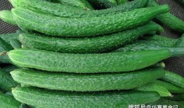 冷天吃瓜,冷天吃瓜的快乐时光