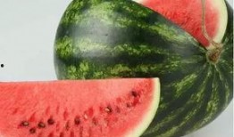 熬夜吃的瓜,揭秘深夜美食背后的秘密