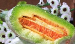 羊角蜜脆瓜怎么吃,美味多汁，轻松享用的夏日佳品