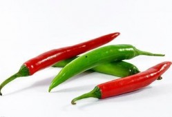 王瓜怎么吃辣椒,解锁辣椒美食新境界