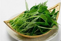 蒿瓜空心吃行吗,蒿瓜空心食用安全与营养价值探讨