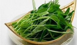 蒿瓜空心吃行吗,蒿瓜空心食用安全与营养价值探讨