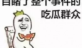 吃瓜旁观者,吃瓜群众视角下的娱乐圈风云录