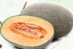 直播卖哈密瓜吃瓜老头,哈密瓜老头演绎吃瓜传奇