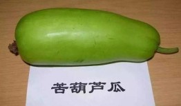 吃煮葫芦瓜,煮葫芦瓜的烹饪艺术与营养解析