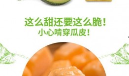 吃冰达人吃黄河蜜瓜