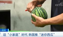 央视瓜怎么吃,瓜果飘香，如何轻松解锁美味秘诀
