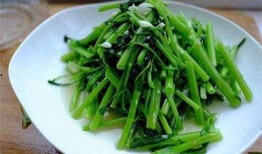 蒿瓜空心吃行吗,蒿瓜空心食用安全与营养价值探讨