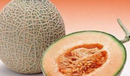 吃哈密瓜食道发酸,美味背后的消化小秘密