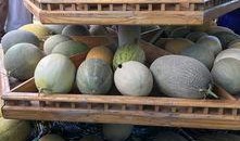 吃新疆瓜的视频,一场视觉与味蕾的双重盛宴