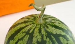 小绿在线吃瓜,揭秘网络热点的幕后故事