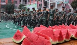 每日吃瓜大赛校园吃瓜,每日瓜香四溢，青春活力无限