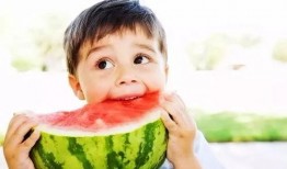 民族幼儿师范吃瓜,瓜田里的快乐成长时光