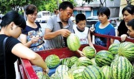 摆地摊群众吃瓜,瓜田里的生活百态