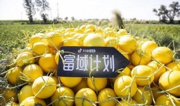 韩城吃瓜的抖音,抖音带你领略地道美食魅力