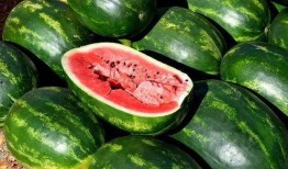 明星吃瓜素材图,揭秘娱乐圈幕后故事