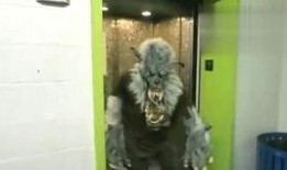 吞金兽吃瓜视频,揭秘神秘生物的趣味生活