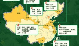 全国吃瓜大省,揭秘瓜香四溢的美食天堂
