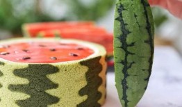 吃瓜吃蛋糕,吃瓜吃蛋糕的欢乐时光