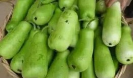 河北吃瓜中毒,揭秘夏日消暑美食背后的风险