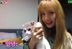 lisa吃瓜群众,瓜田里的明星，吃瓜群众的焦点