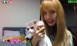 lisa吃瓜群众,瓜田里的明星，吃瓜群众的焦点