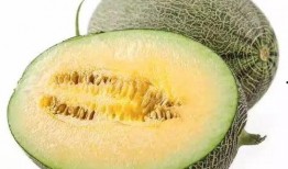 亚茹吃瓜,揭秘娱乐圈幕后故事