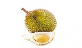 吃榴莲如何开瓜,轻松解锁美味之旅