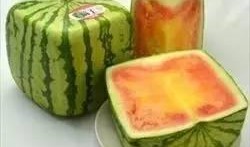 食堂吃瓜为啥火了,揭秘校园生活新潮流