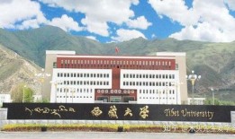 西藏大学吃瓜视频,揭秘校园生活趣味瞬间
