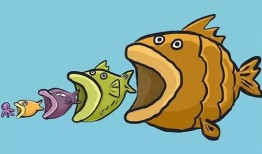 小瓜吃小鱼视频下载,萌宠美食视频下载攻略