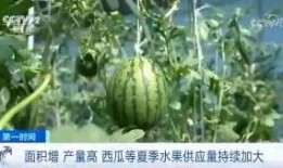 什么吡吃瓜群众,揭秘“吃瓜群众”背后的网络现象与心理分析