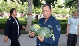 真吃瓜现场,一场全民参与的娱乐盛宴