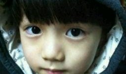 吃瓜太郎图片,揭秘瓜界奇才的趣味生活