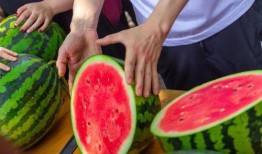 豆瓣吃瓜自由地,揭秘热门话题背后的真相与笑料