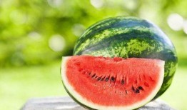 吃瓜的好处,揭秘吃瓜的好处与乐趣