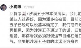 吃瓜自由歌曲,揭秘网络时代下的娱乐狂欢与理性思考