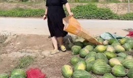 村庄吃瓜,瓜香四溢的欢乐时光