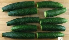 吃瓜的白某,吃瓜群众的视角揭秘娱乐圈风云