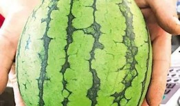 青岛最近吃瓜,近期热点事件大盘点