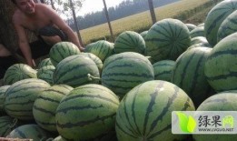 汾阳最新吃瓜新闻事件