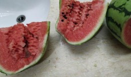 吃新疆瓜的视频,一场视觉与味蕾的双重盛宴