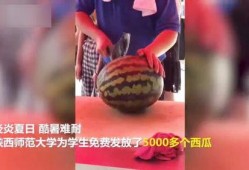 沈阳师范吃瓜视频,揭秘校园幕后趣闻