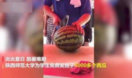 沈阳师范吃瓜视频,揭秘校园幕后趣闻