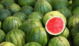 我们都在吃的瓜,揭秘我们日常饮食中的那些“瓜”